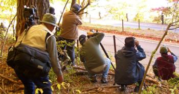 Photographers lined up to capture Mt. Fuji. Photos by Jane B. Holt